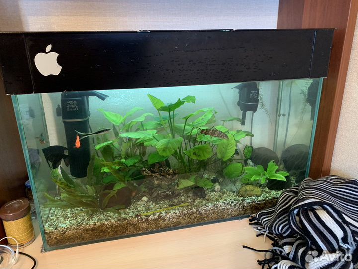 Аквариум