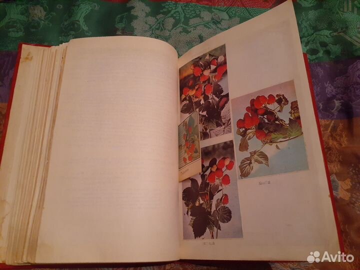 Гроссбух по садоводству