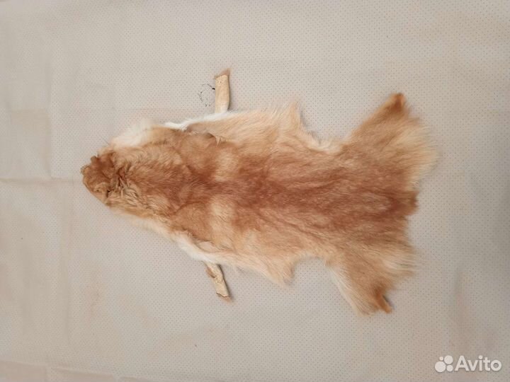 Шкуры животных
