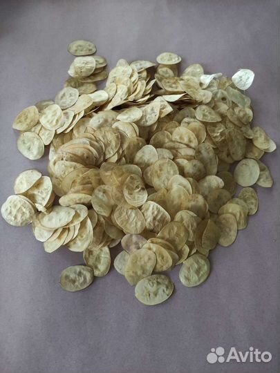 Лепестки Лунарии для творчества