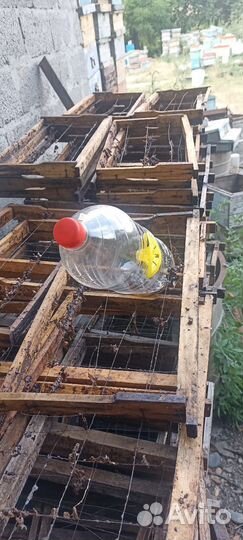 Рамки для ульев рута