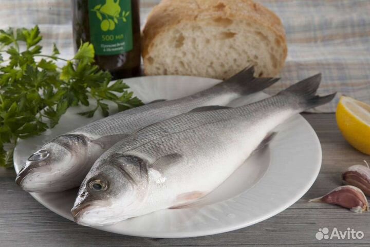 Дорадо, сибас