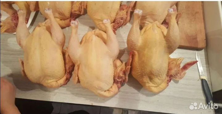 Тушки кур домашних халяль