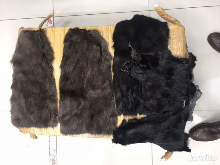Лисья шкура