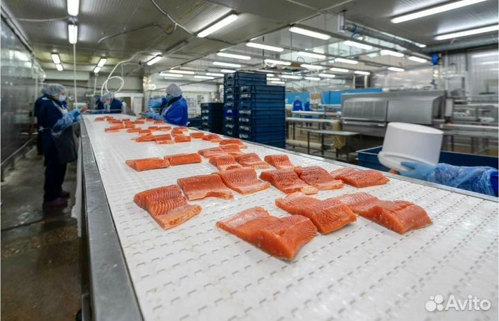 Упаковщик фасовщик морепродуктов Вахта с питанием