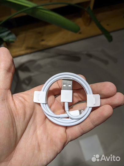 Lightning to USB Cable (1 m) original