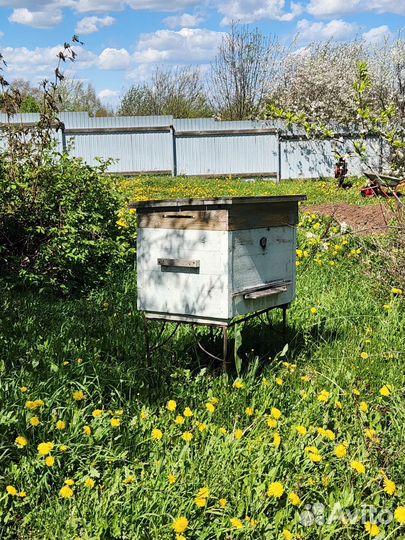 Ульи для пчел