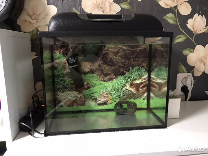 Аквариум