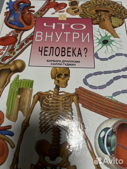 Книги. Детские.Что внутри