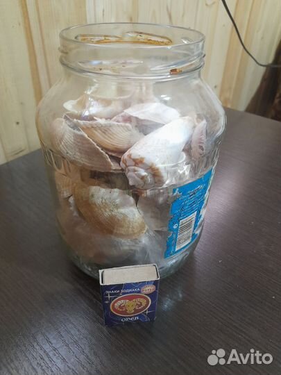 Компрессор для аквариума и ракушки