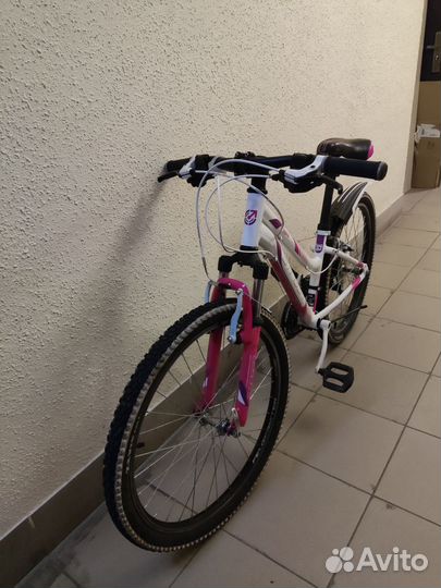 Велосипед Stinger Laguna 24