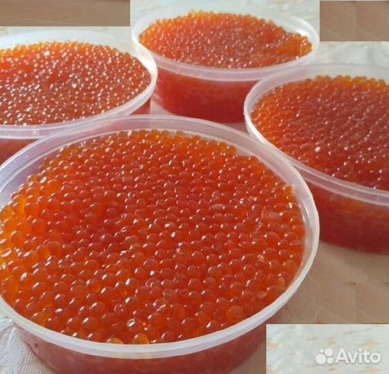 Красная икра 500г. Малосол. Кета