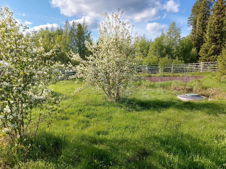 Участок 15 сот. (СНТ, ДНП)