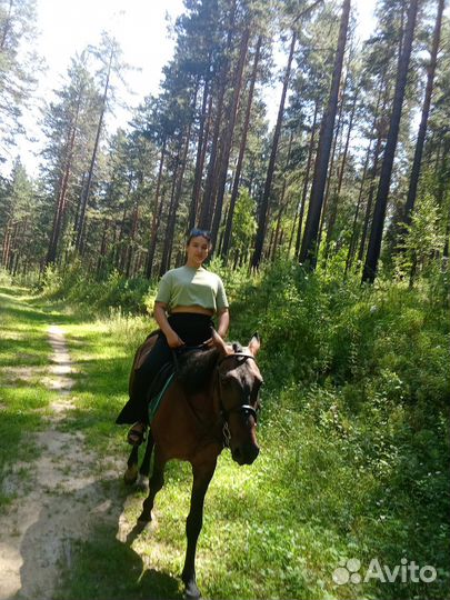 Конный поход