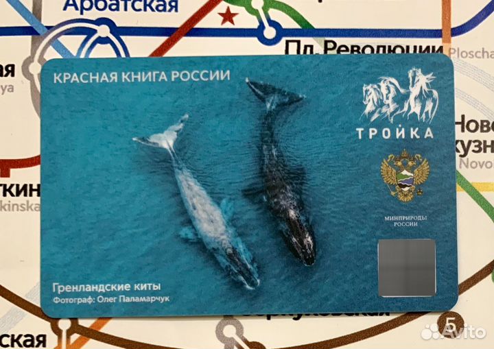 Тройка Гренландские киты Красная книга