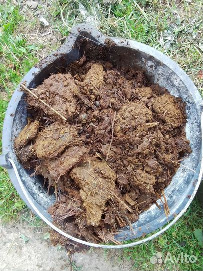 Козий навоз