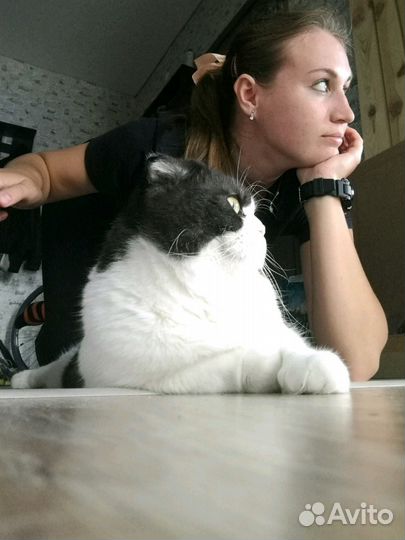 Репетитор по математике