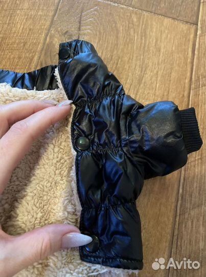 Одежда для собак