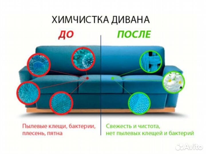 Аренда моющего пылесоса