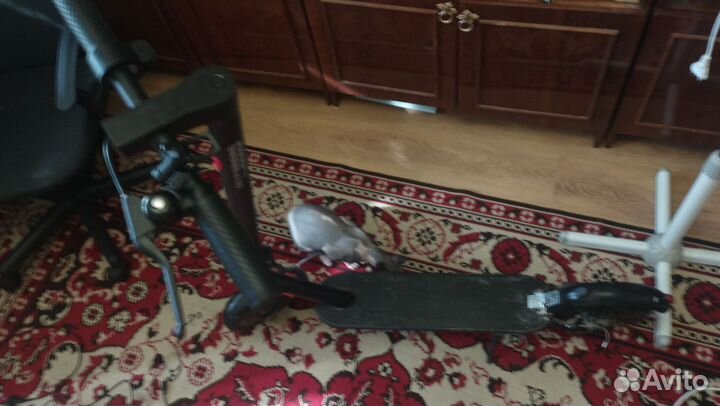 Самокат взрослый бу