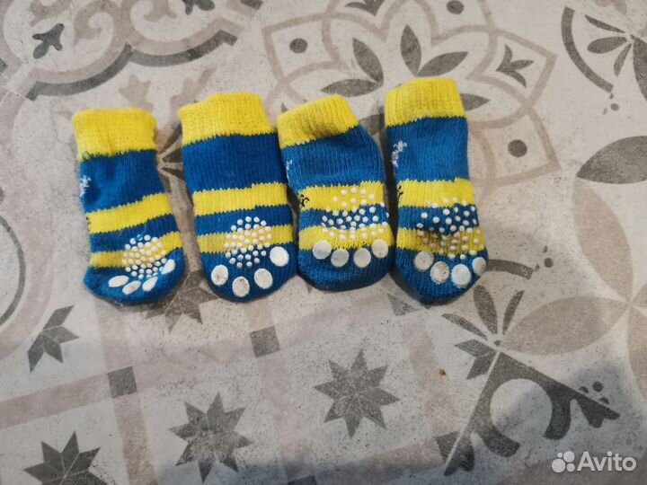 Носки для собак