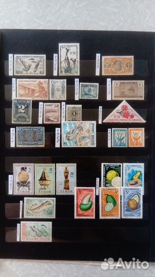 Марки Африки, колонии, флора, фауна, каталог СССР