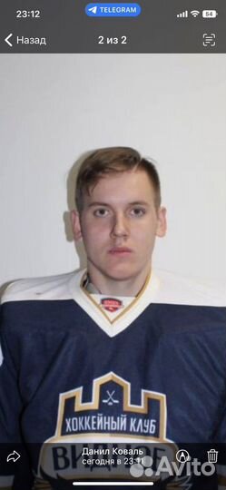 Тренер по вратарям (хоккей)