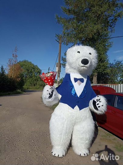 Мишка Фёдор Михайлович. Поздравления