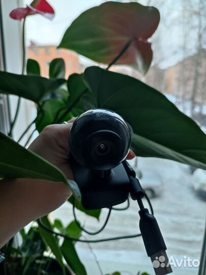 Веб-камера Logitech