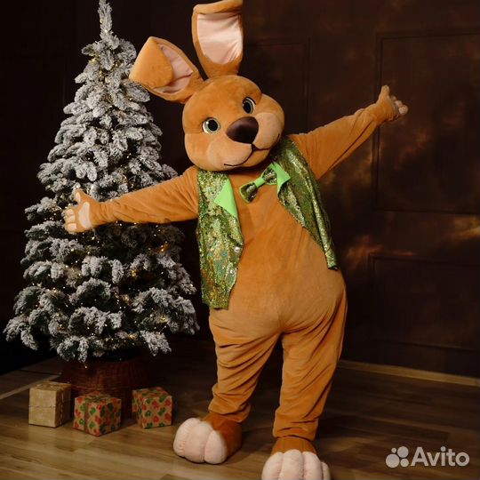 Аниматоры на день рождения