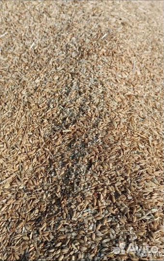 Рисовый корм, отходы рисового производства, шелуха