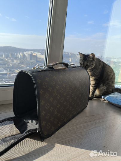 Переноска для кошек
