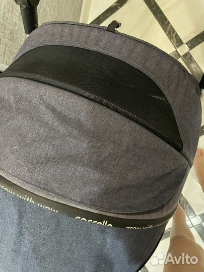 Детская коляска Carello Pulse