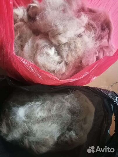 Шерсть мастифа