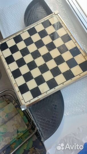 Шашки шахматы