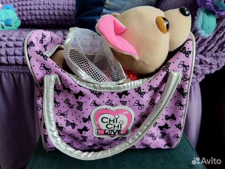 Собачка чичилав чи хуа хуа