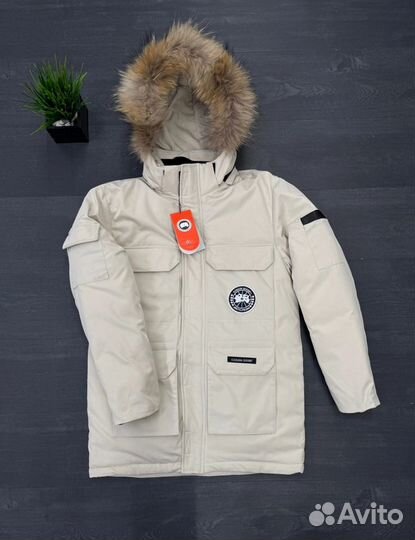 Мужская зимняя куртка canada goose