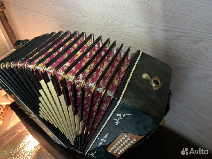 Гармонь Беларусь 4-х голос. Новое сост