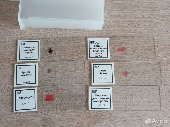 Микроскоп Мир Левенгук и аксессуары для микроскопа