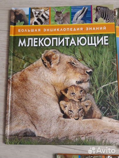 Большая энциклопедия знаний