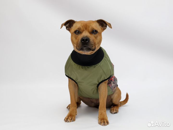 Жилетка для собак