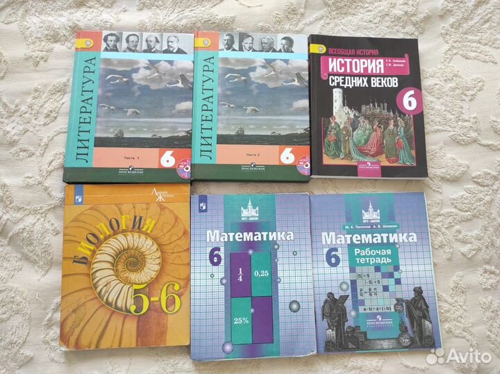 Учебник 6 класс