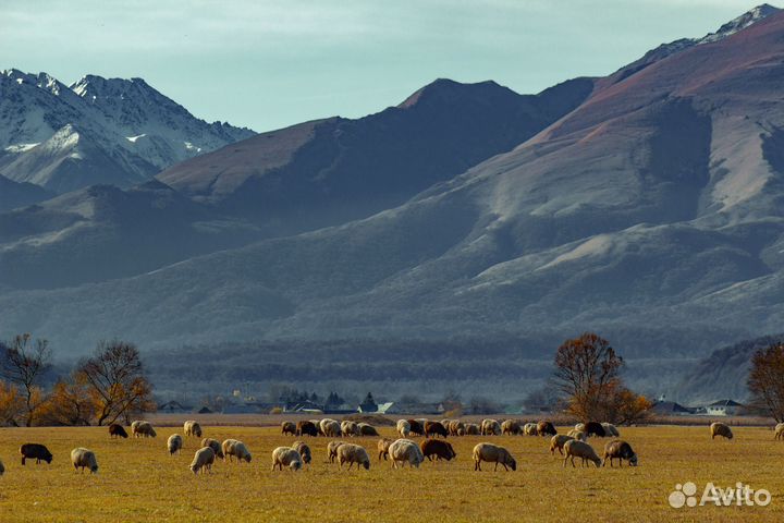 Видео оператор, монтажер, фотограф