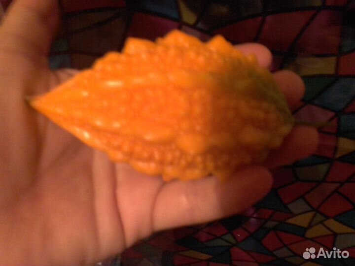 Семена момордики