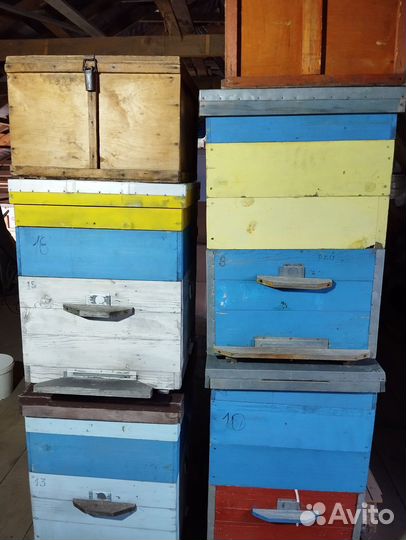 Ульи Дадан 12 рамочные с магазином