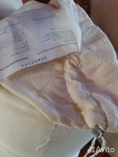 Семена / Ель обыкновенная