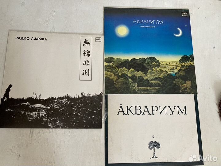 «Аквариум» русский рок