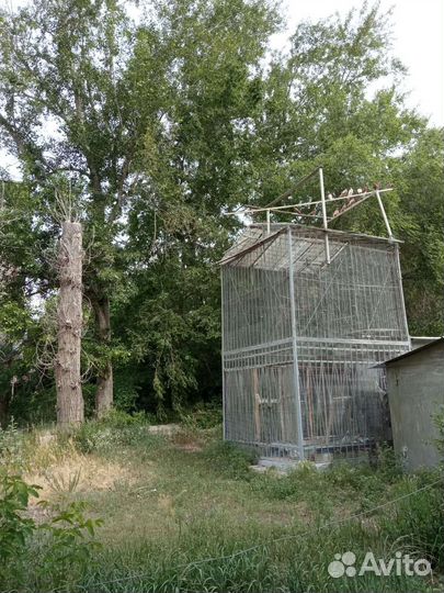 Голубятня продажа