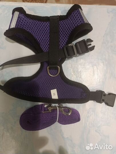 Шлейка для маленькой собаки