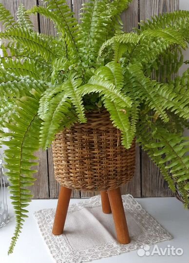 Кашпо плетеное для цветов